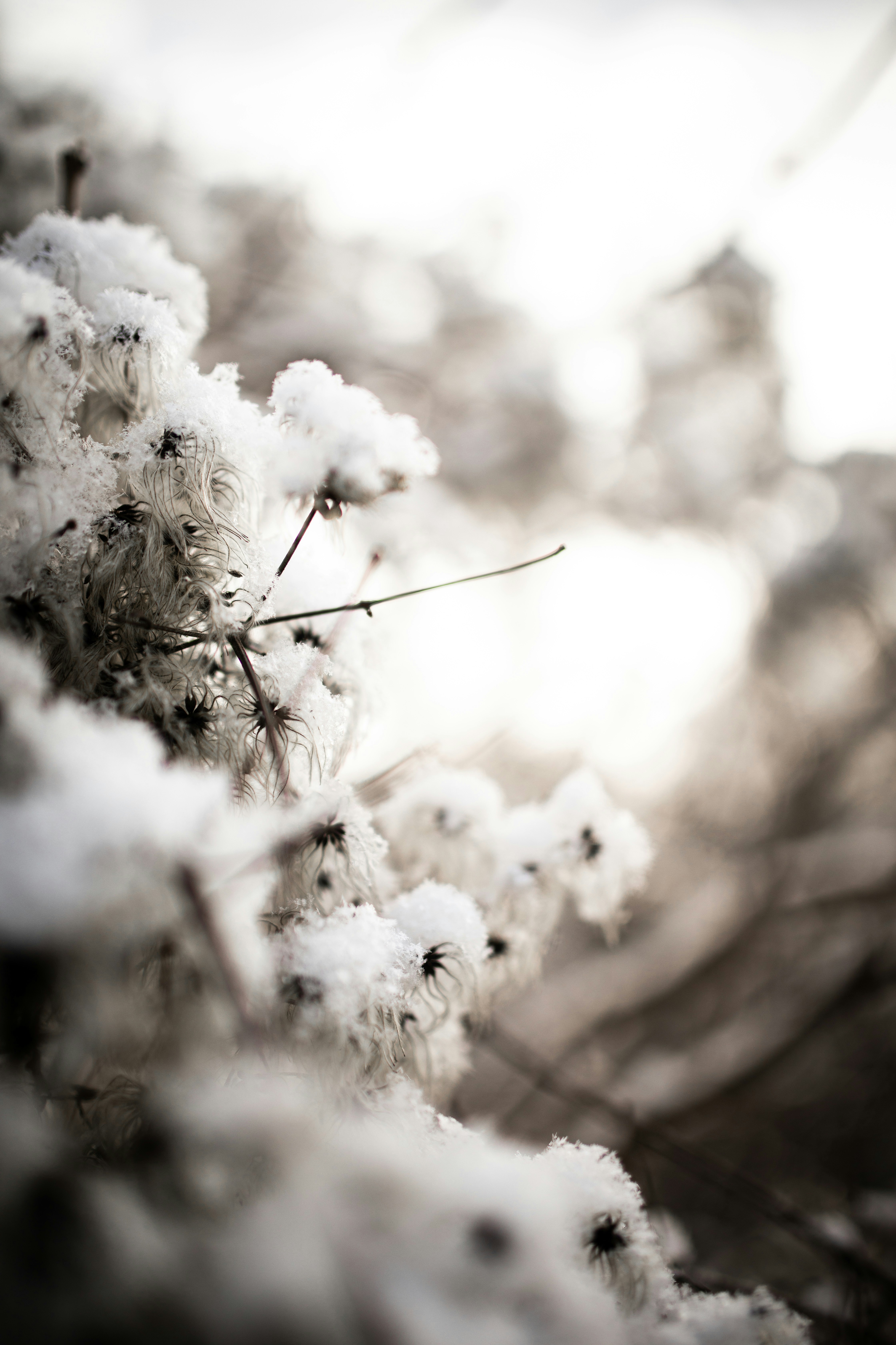 Photo by kajareichardtphotos