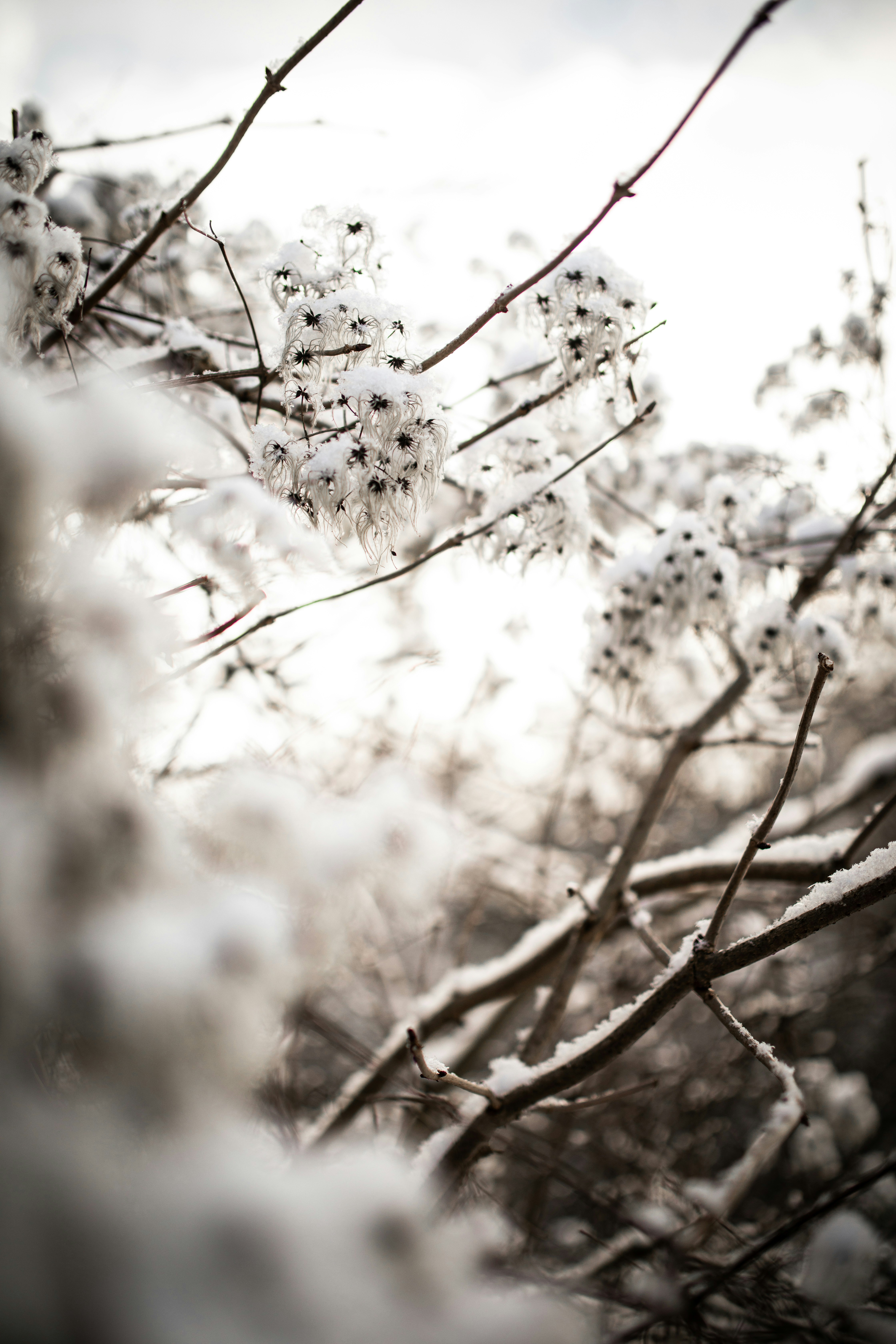 Photo by kajareichardtphotos