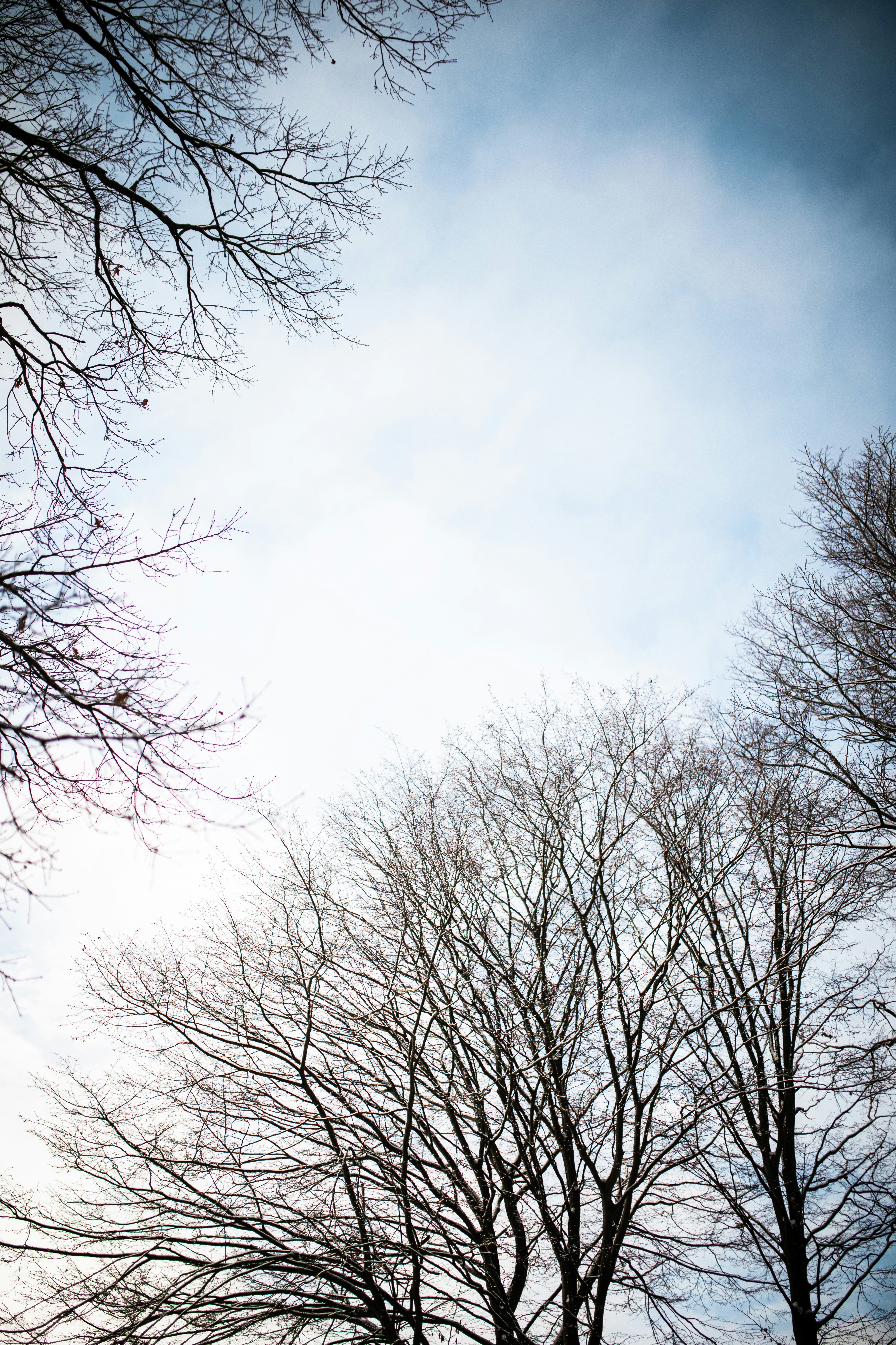 Photo by kajareichardtphotos