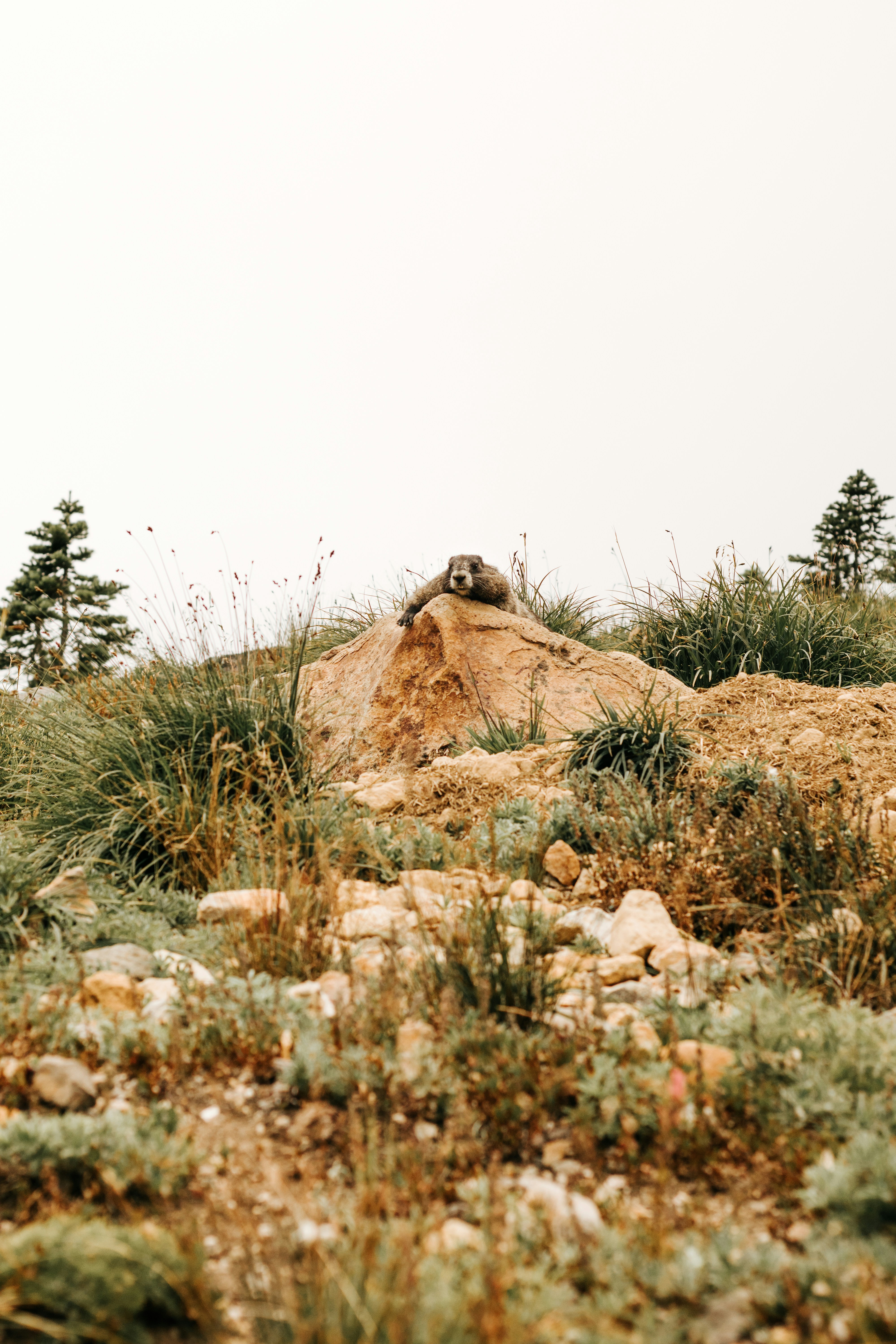 Photo by andrrewphoto