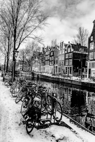 grayscale photo of bicycle parked beside river