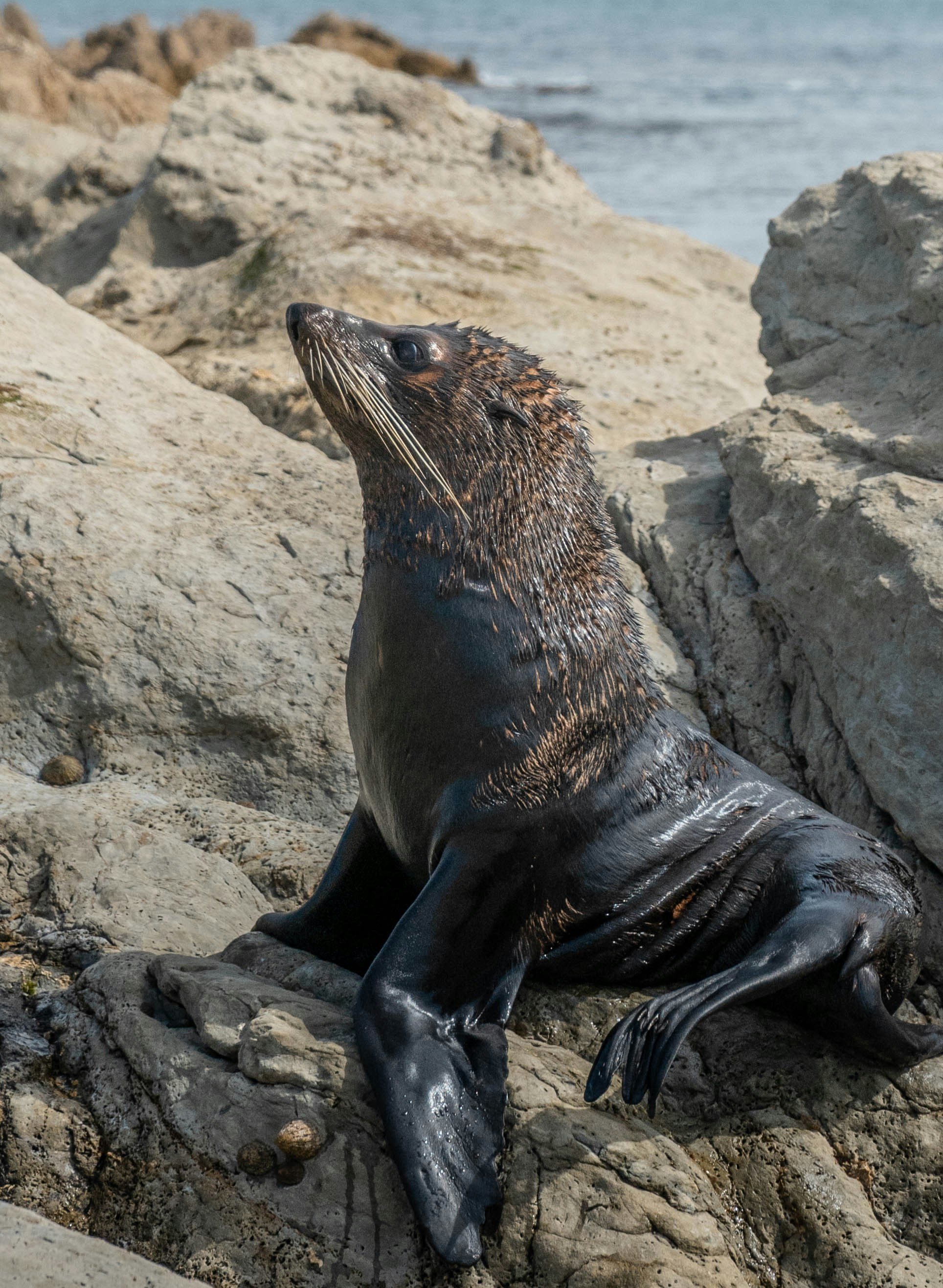 Photo by adriankrajcar