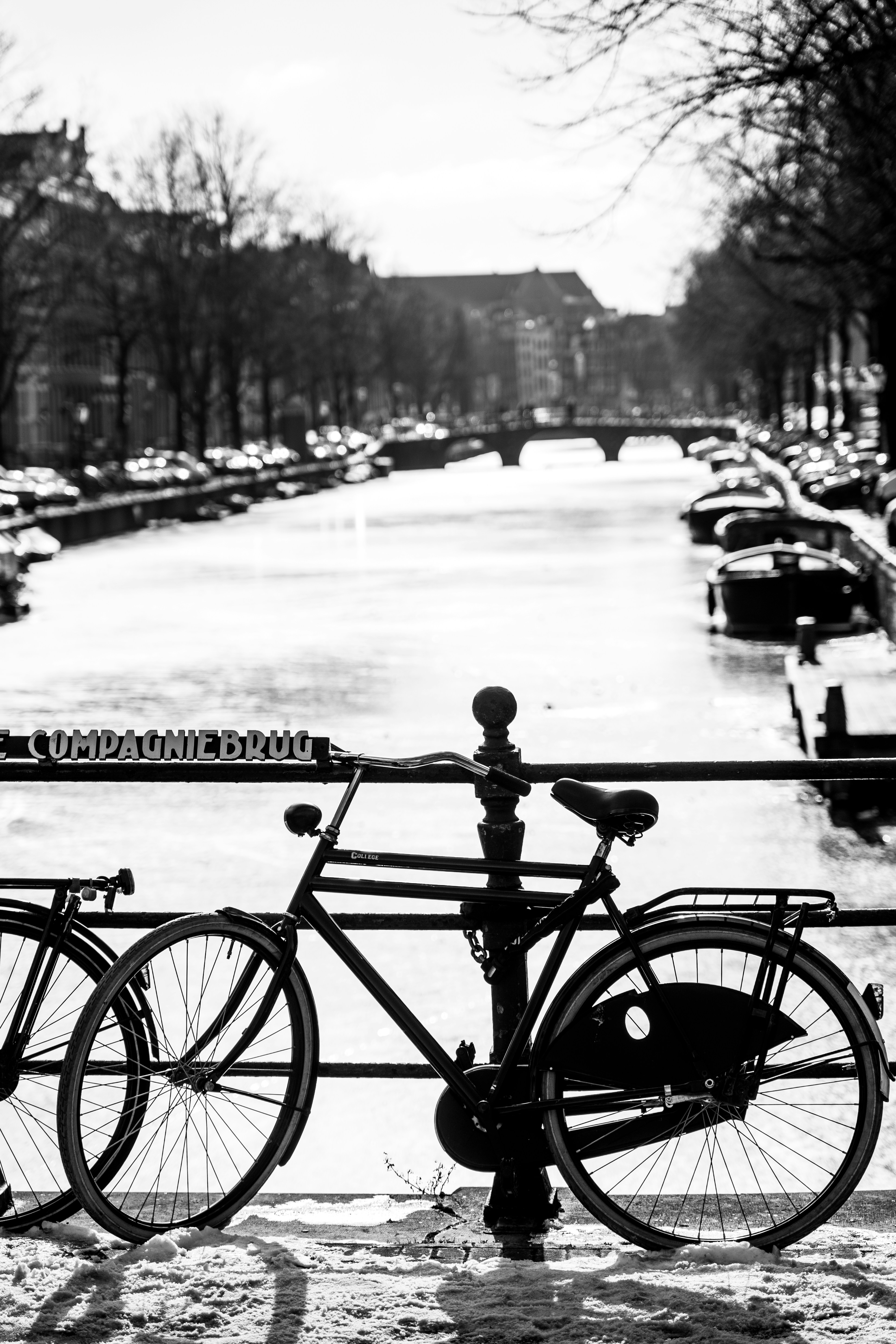 Photo by mitchelanneveldt