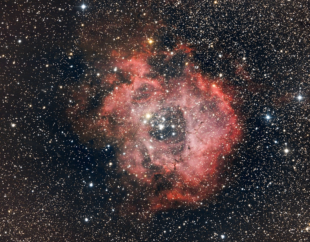 brown and black galaxy with stars