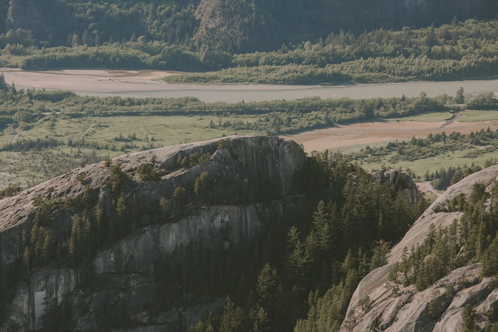 green trees on brown mountain during daytime