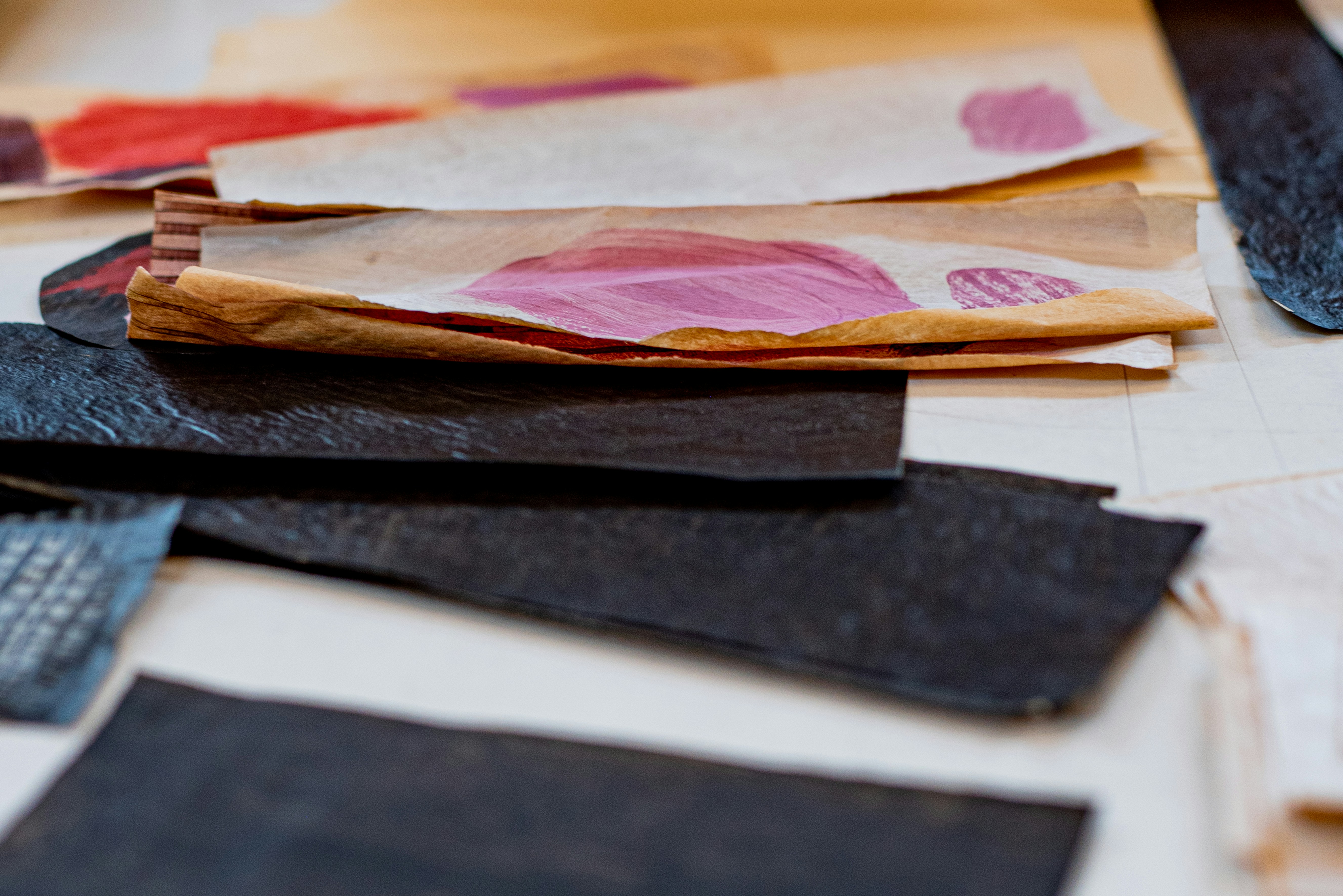 Photo by lauraadaiphoto