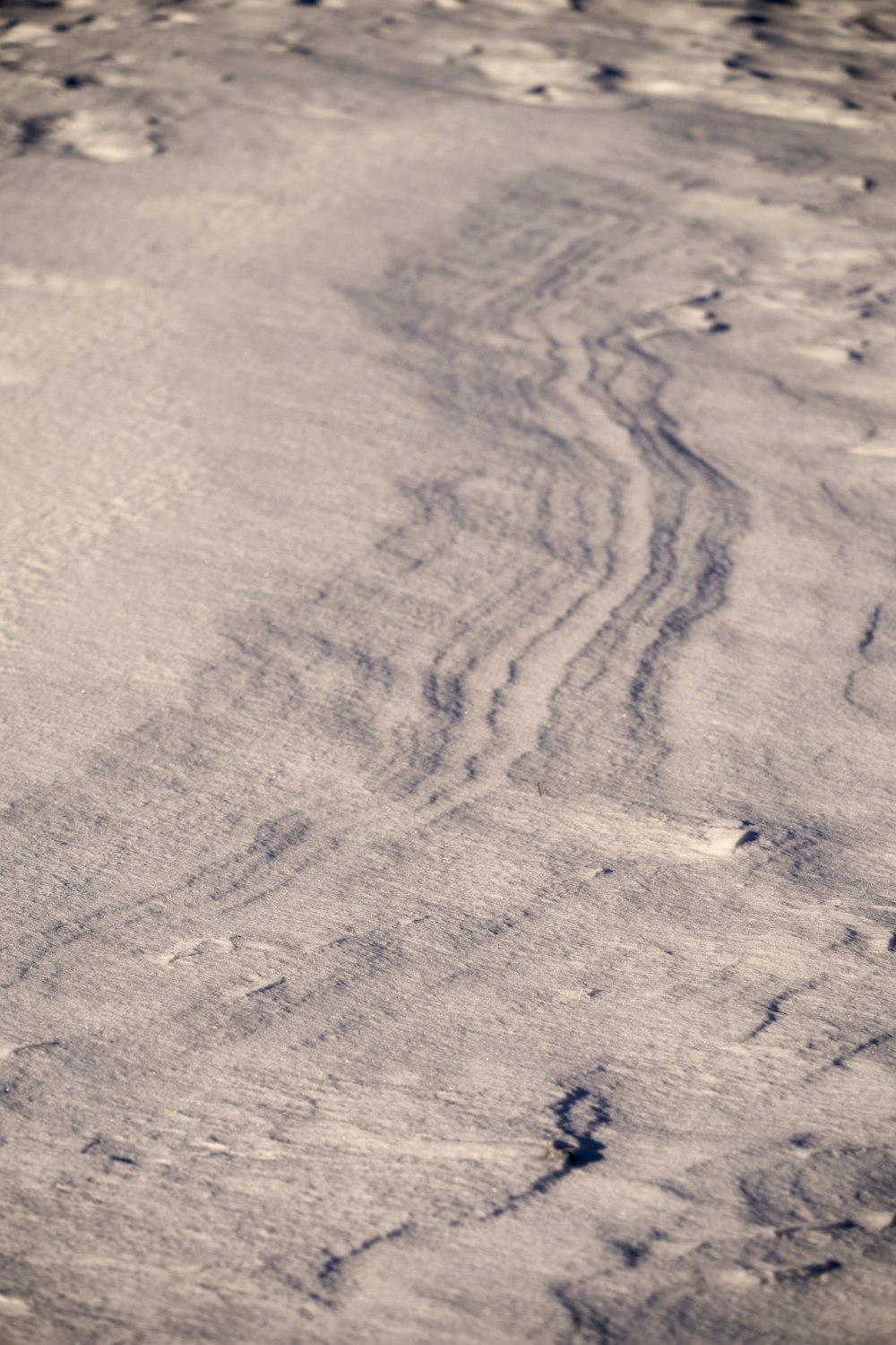 brown sand with footprints during daytime