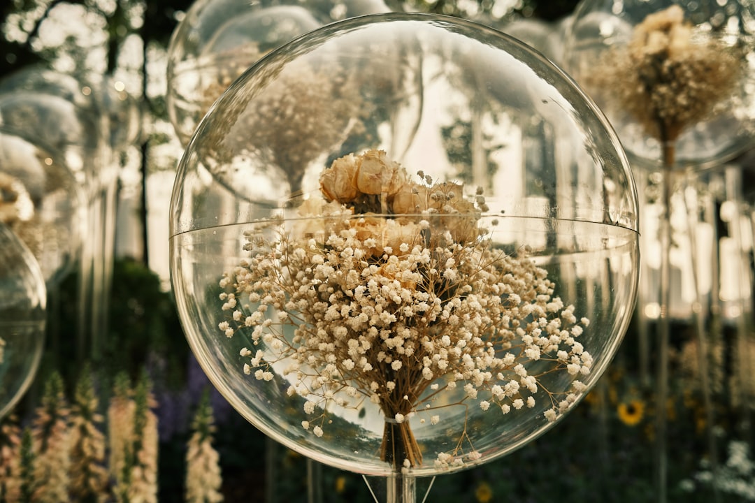 brown and white flower in clear glass ball