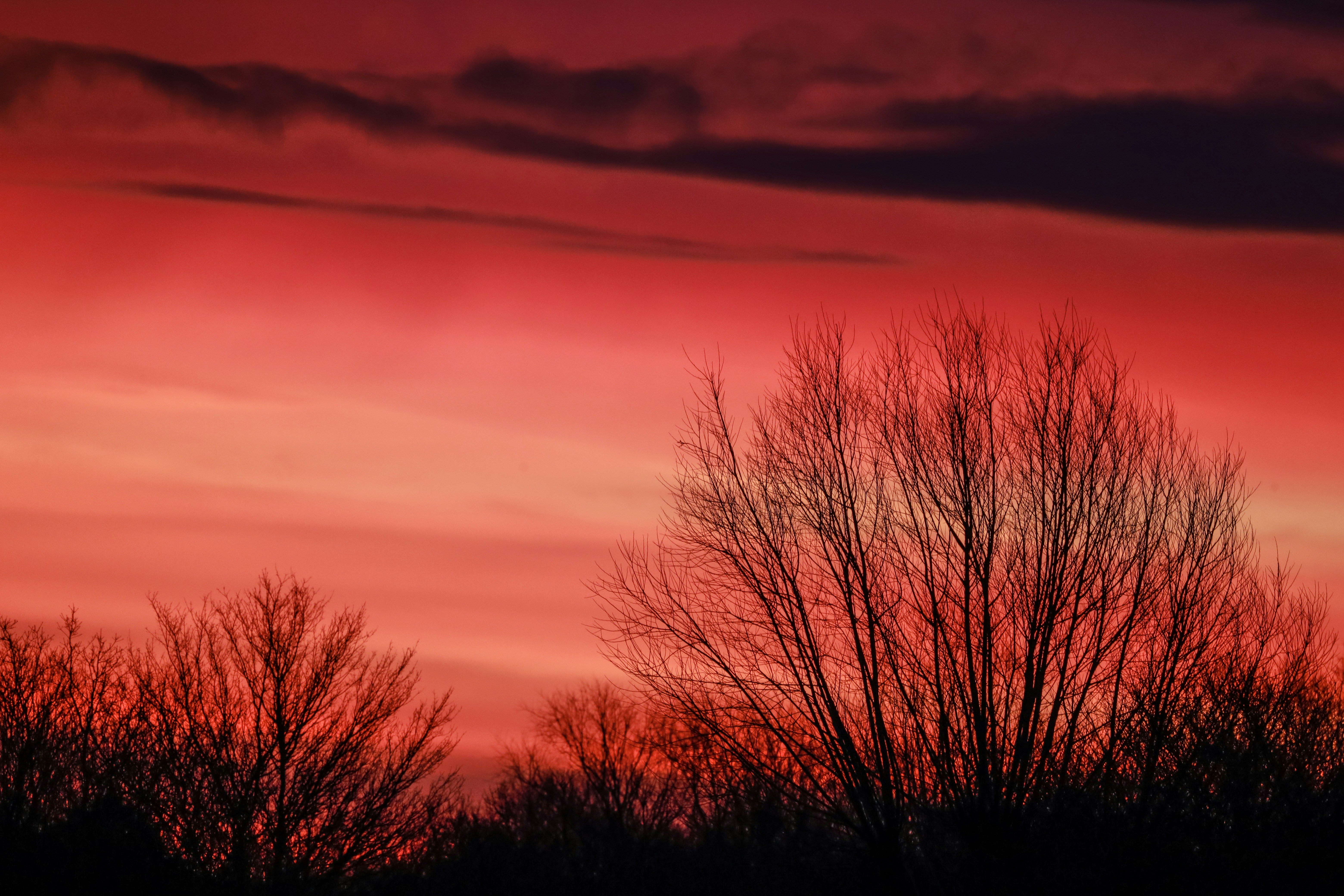 Photo by grievek1610begur