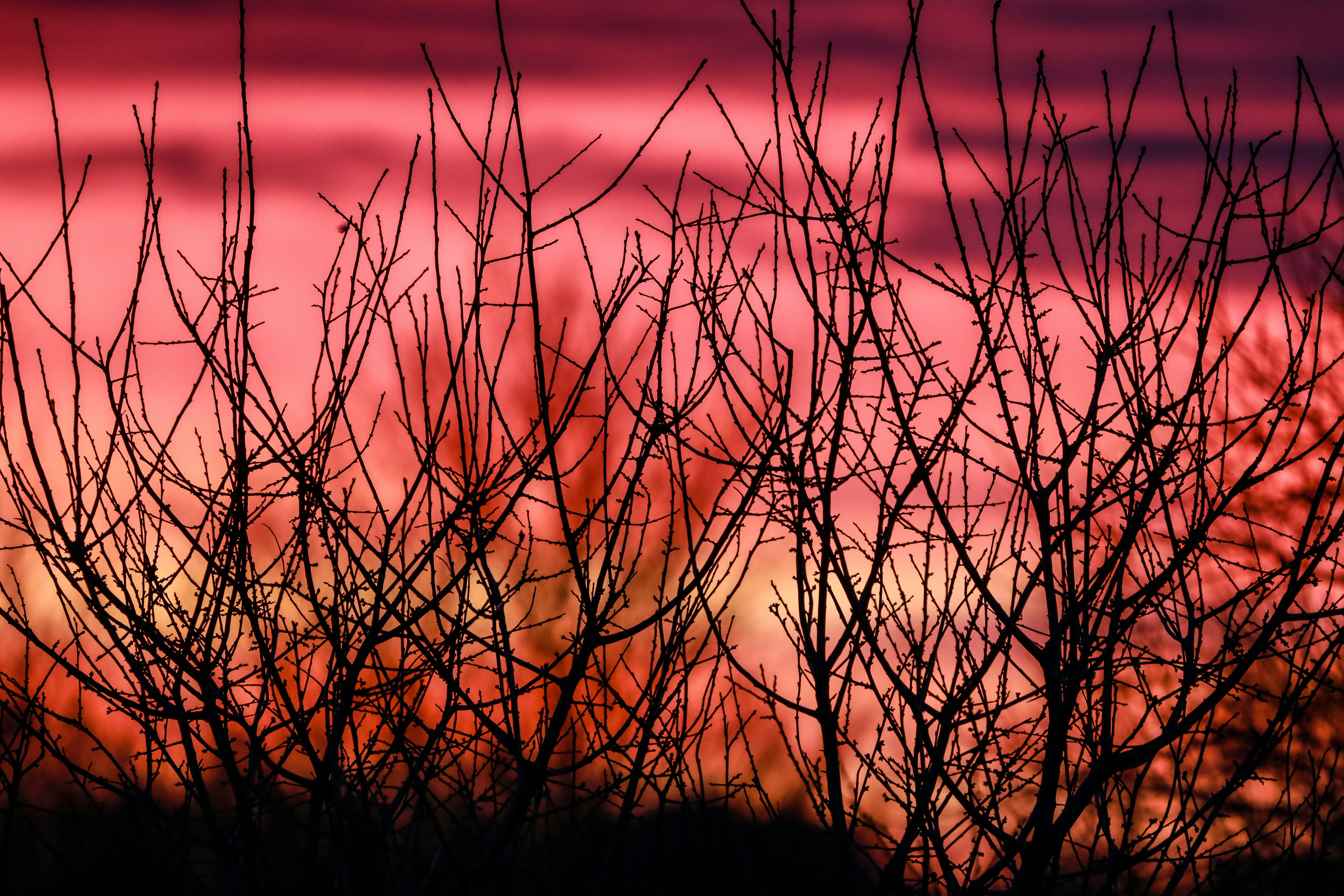 Photo by grievek1610begur