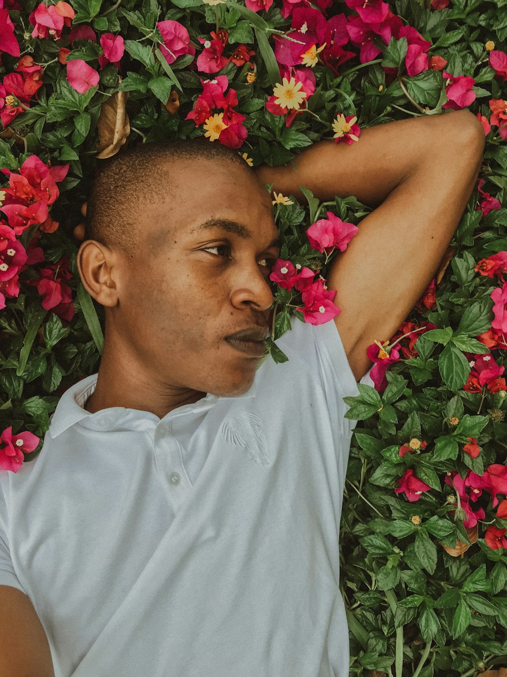 man in white button up shirt lying on pink flower field during daytime