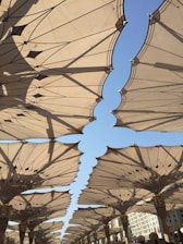 Wide shot of various canopy structures casting shadows over an outdoor event space.