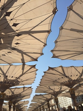 Large, architecturally intricate umbrellas in a series cover an outdoor space, casting patterns of light and shadow on the ground. The structures are well aligned, creating a symmetrical and aesthetically pleasing view against a clear blue sky.