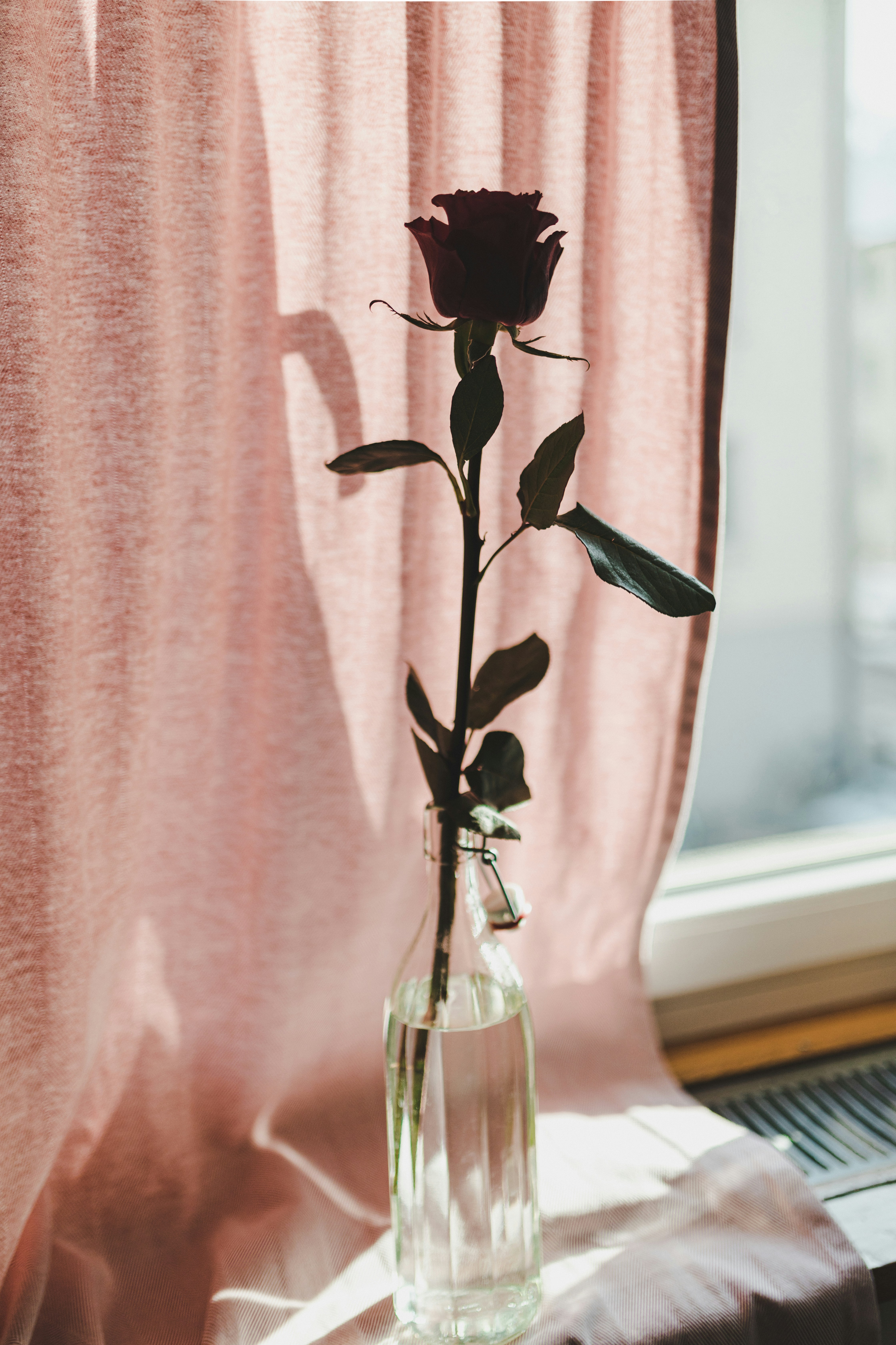 Photo by corina_rainer_