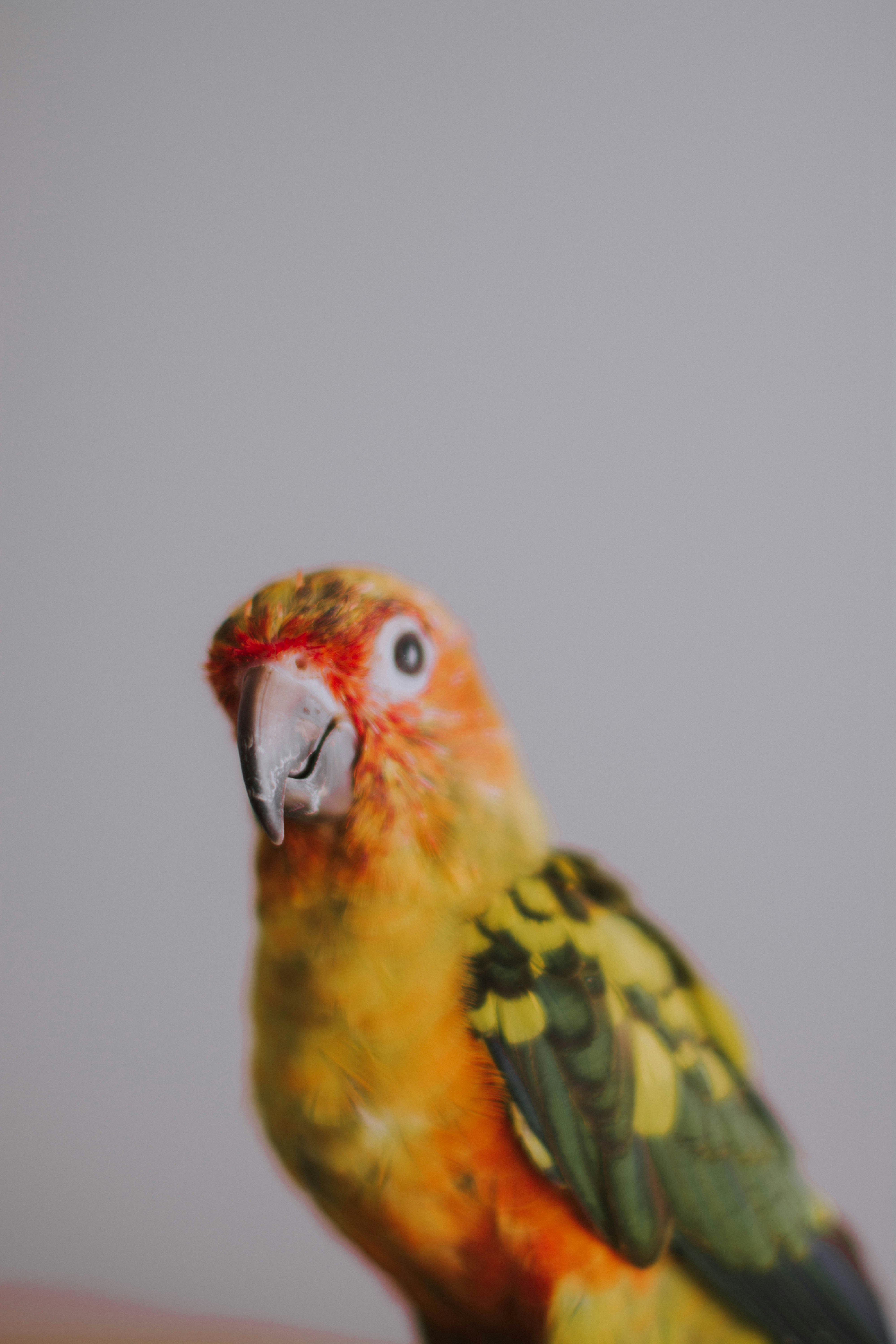 Photo by ibrahim_ifaax