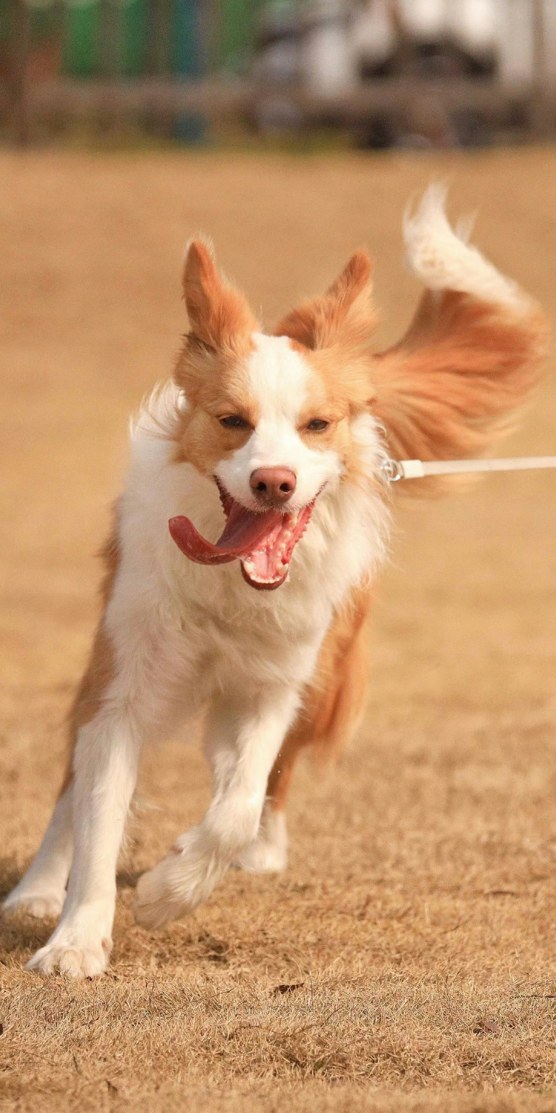 Photo by josephharrison