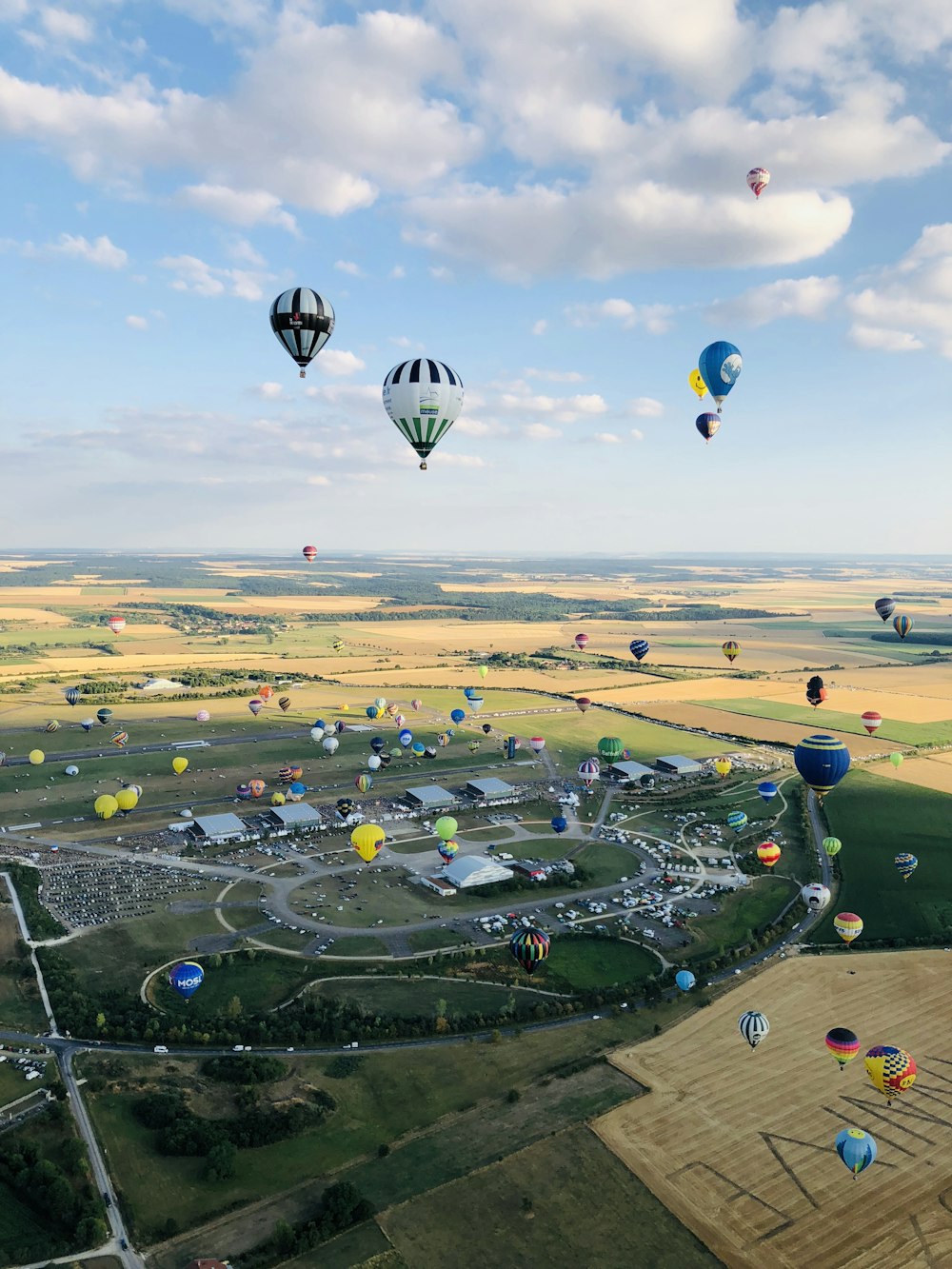 montgolfières volant au-dessus d’un champ vert pendant la journée
