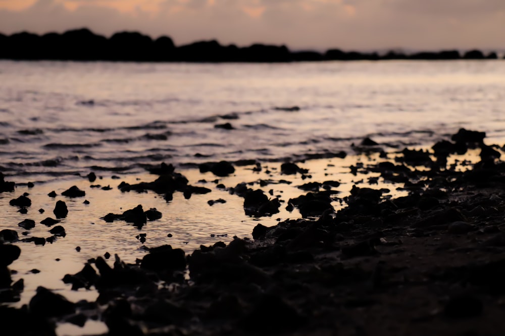 silhouette of rocks on beach during sunset