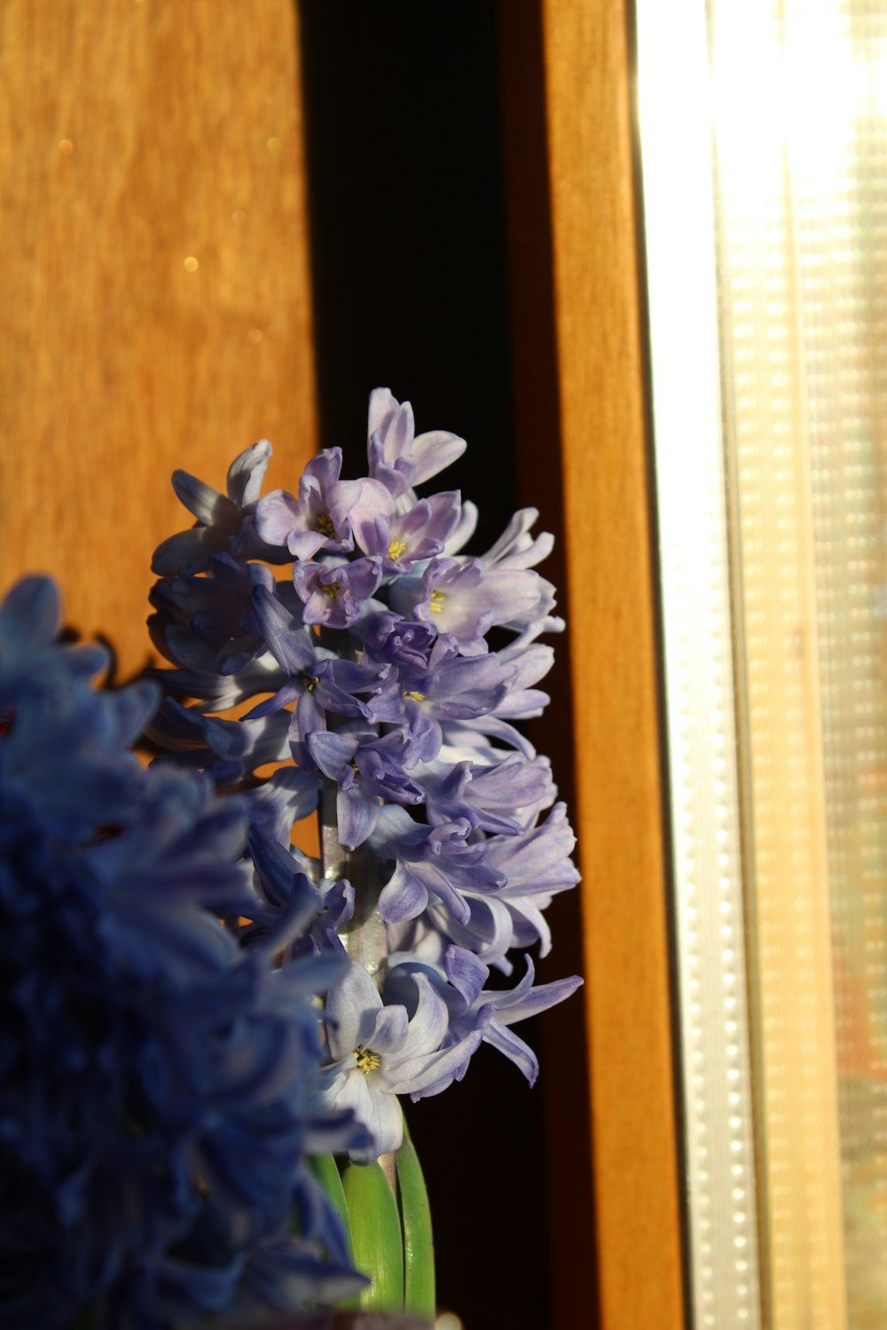 purple and white flower on brown wooden table