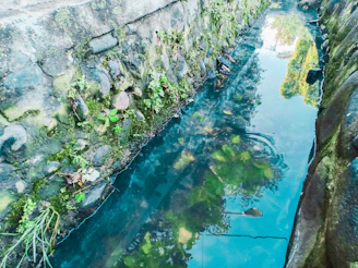 A sleek modern device installed in a clear water canal surrounded by greenery.