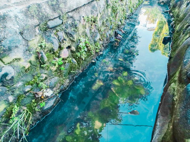 A sleek modern device installed in a clear water canal surrounded by greenery.