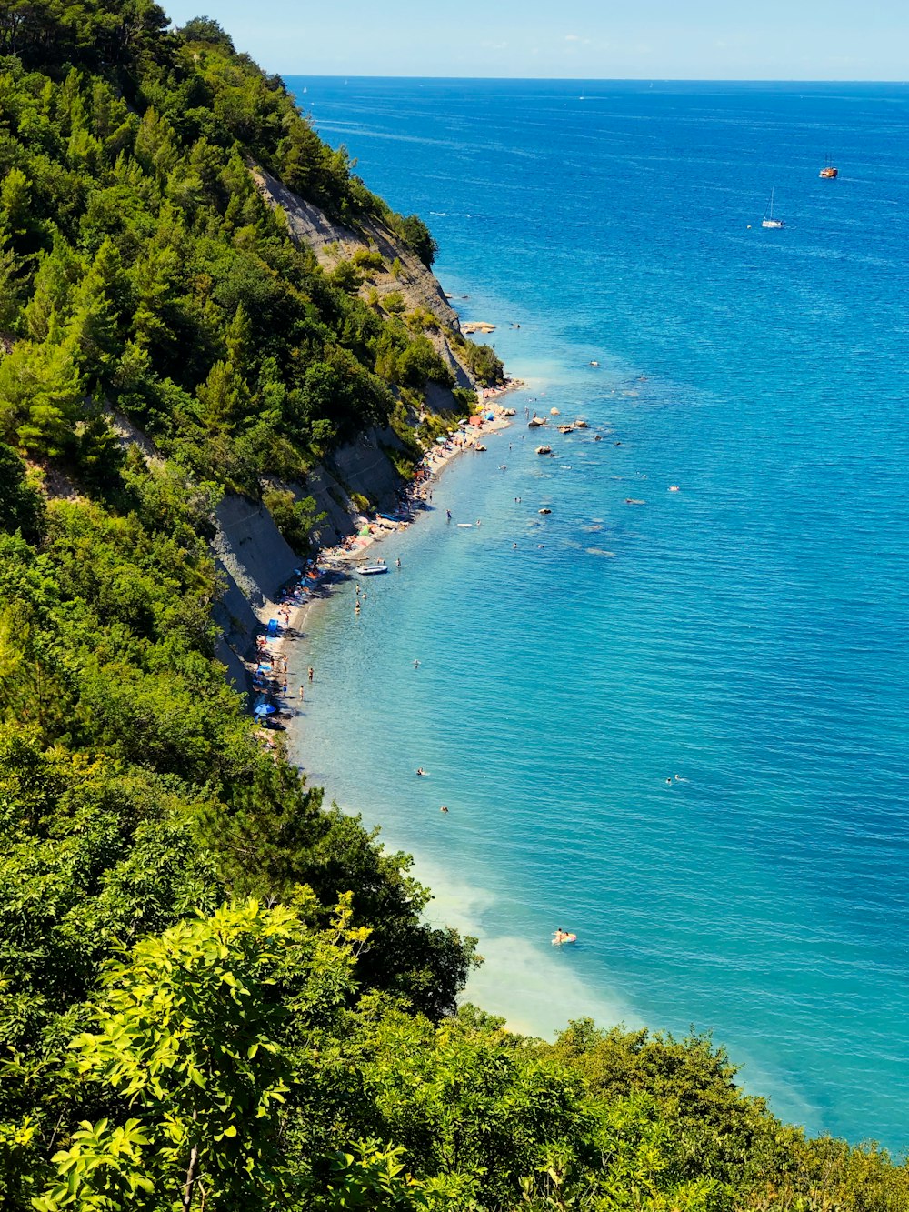 green trees near body of water during daytime