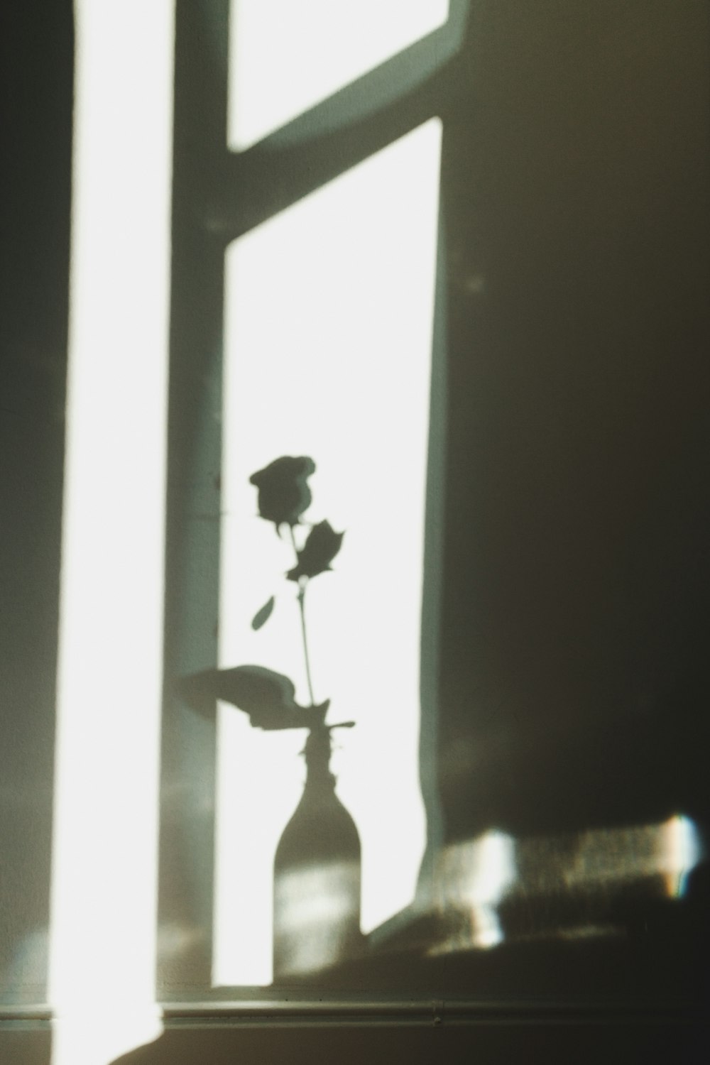 silhouette of a man standing on a window