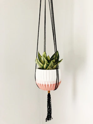 Balcony space with hanging planters and handcrafted macrame details.