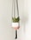 A decorative plant is suspended in a macrame hanging planter. The planter features a scalloped design with white and pink colors. Thick black cords attach to the planter, ending in a tassel. The plant has thick green leaves with a hint of yellow.