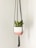 A decorative plant is suspended in a macrame hanging planter. The planter features a scalloped design with white and pink colors. Thick black cords attach to the planter, ending in a tassel. The plant has thick green leaves with a hint of yellow.