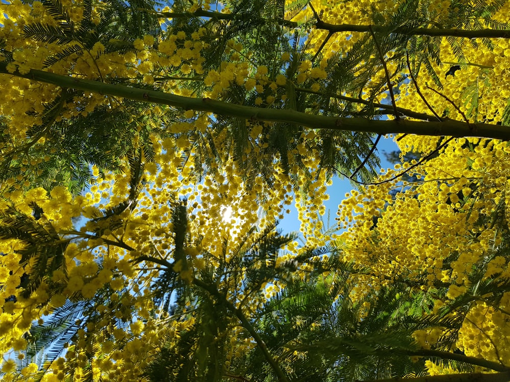 green leaf tree during daytime