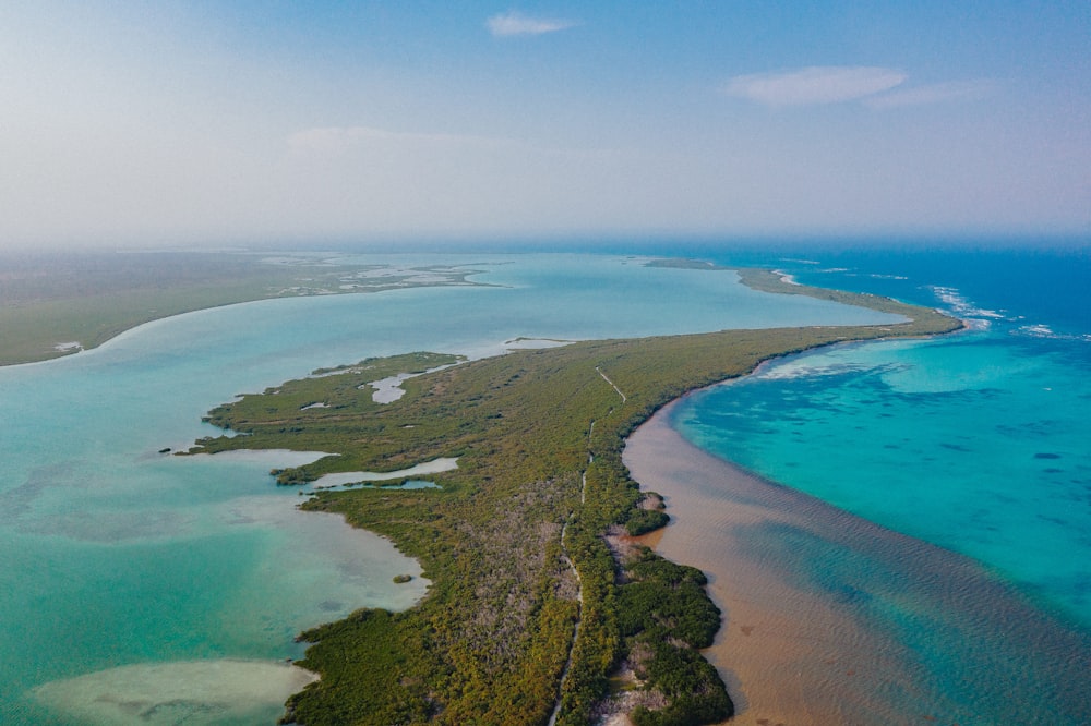 vista aérea de árvores verdes e mar azul durante o dia