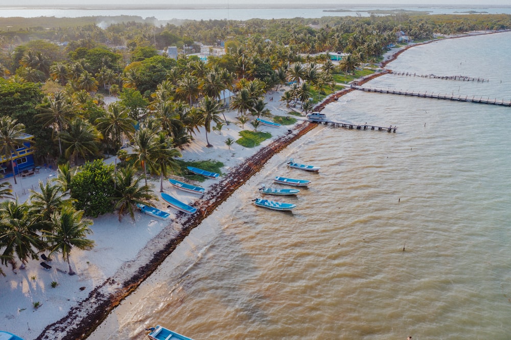 aerial view of boats on sea during daytime