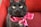 A black cat with bright green eyes is adorned with a pink ribbon tied around its neck. The cat is sitting in front of a red background, giving the image a vibrant contrast.