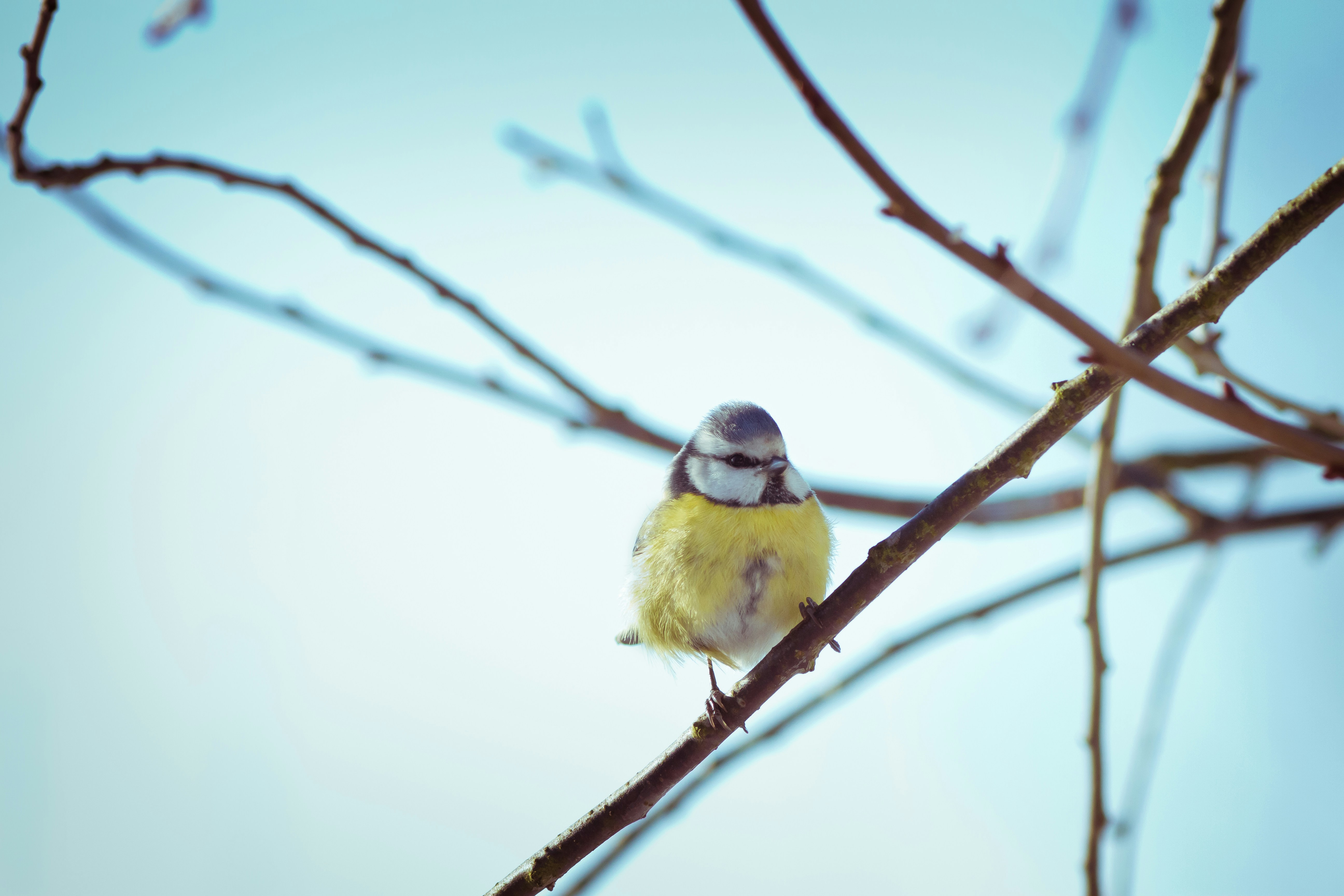 Photo by valentinhintikka