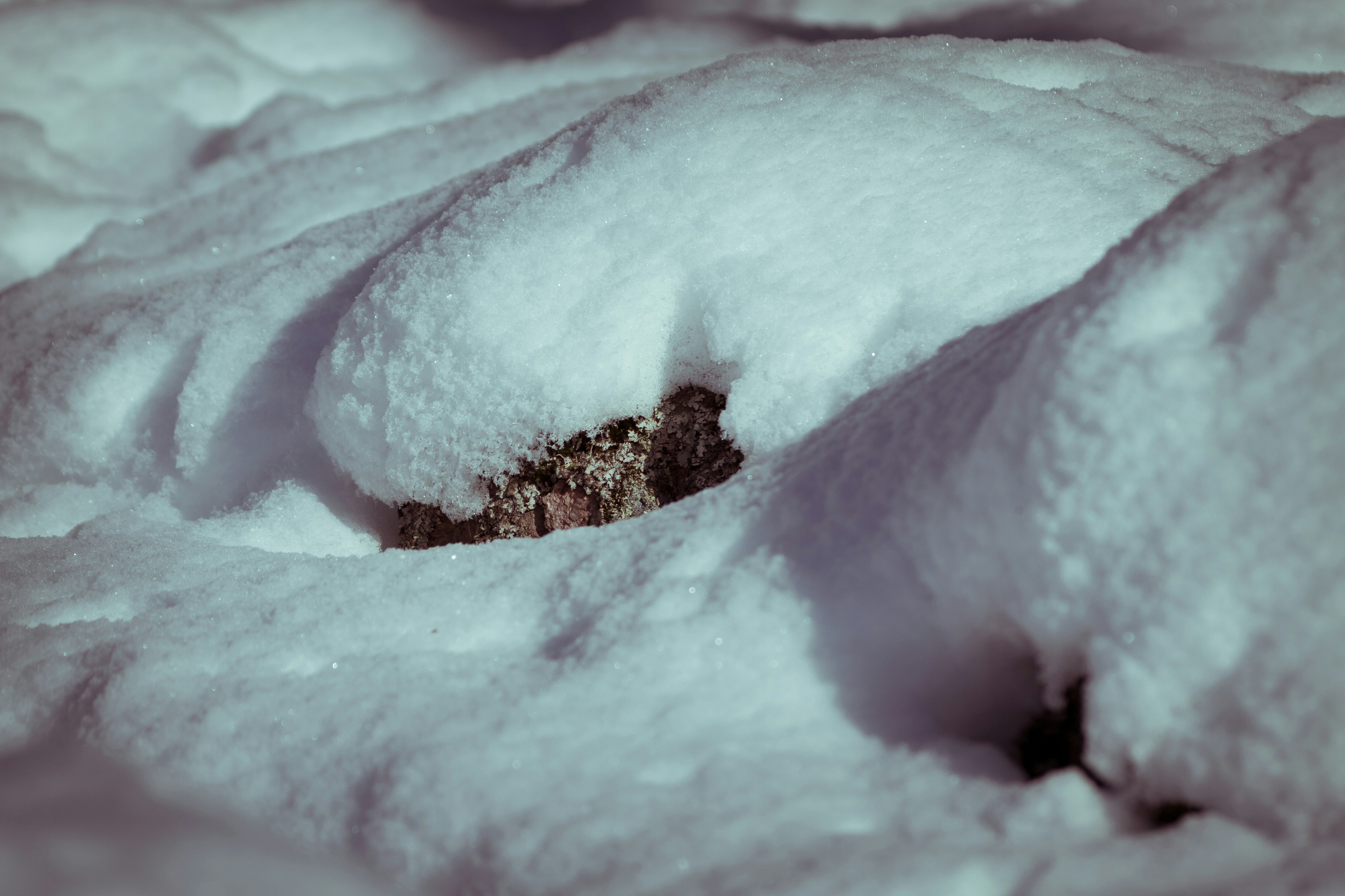 Photo by valentinhintikka