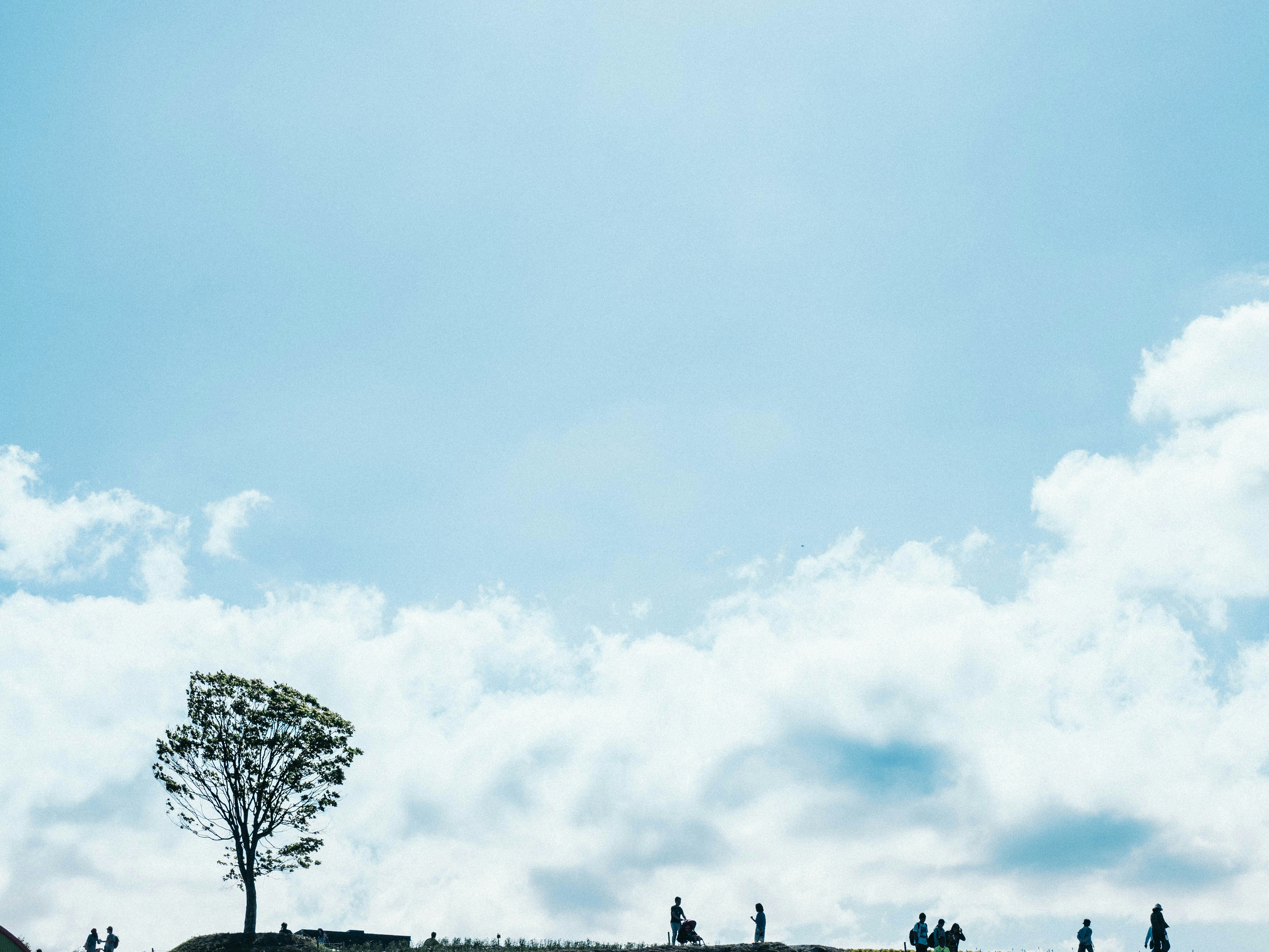 横浜 f マリノス ユニフォーム 激安