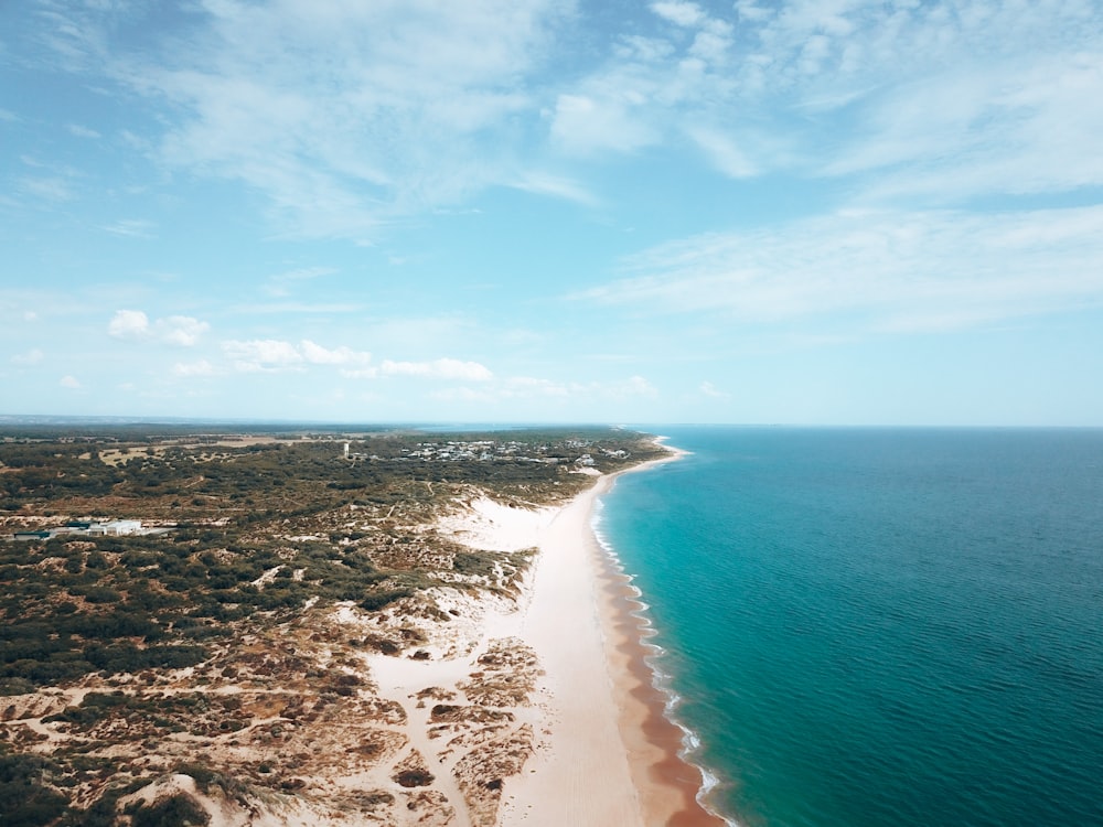 blue sea under blue sky during daytime