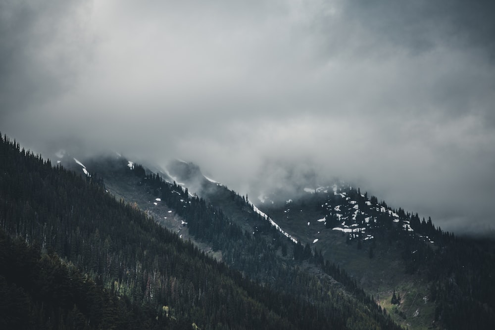 árvores verdes na montanha sob nuvens brancas durante o dia