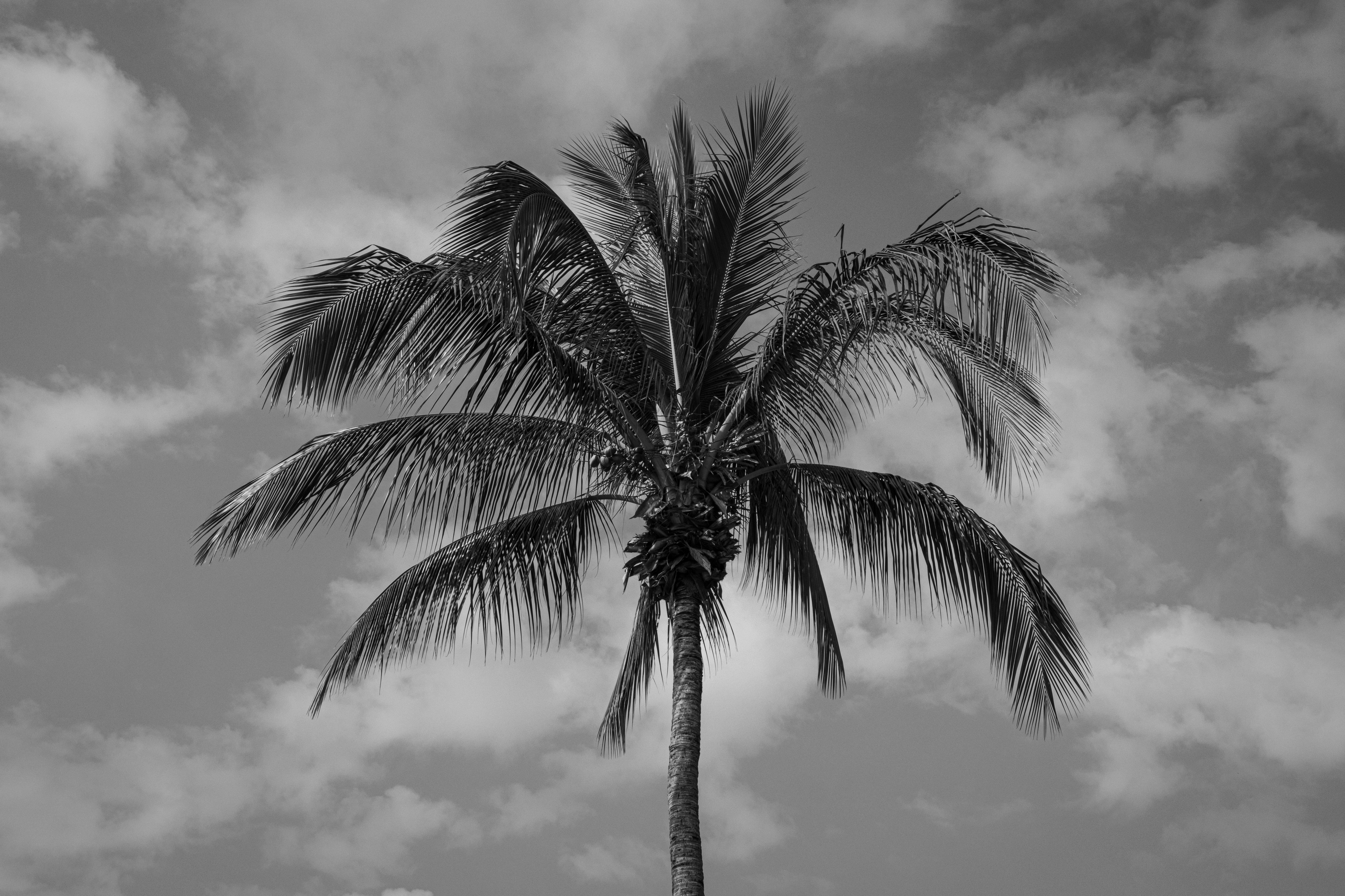 Photo by benjamin_1017