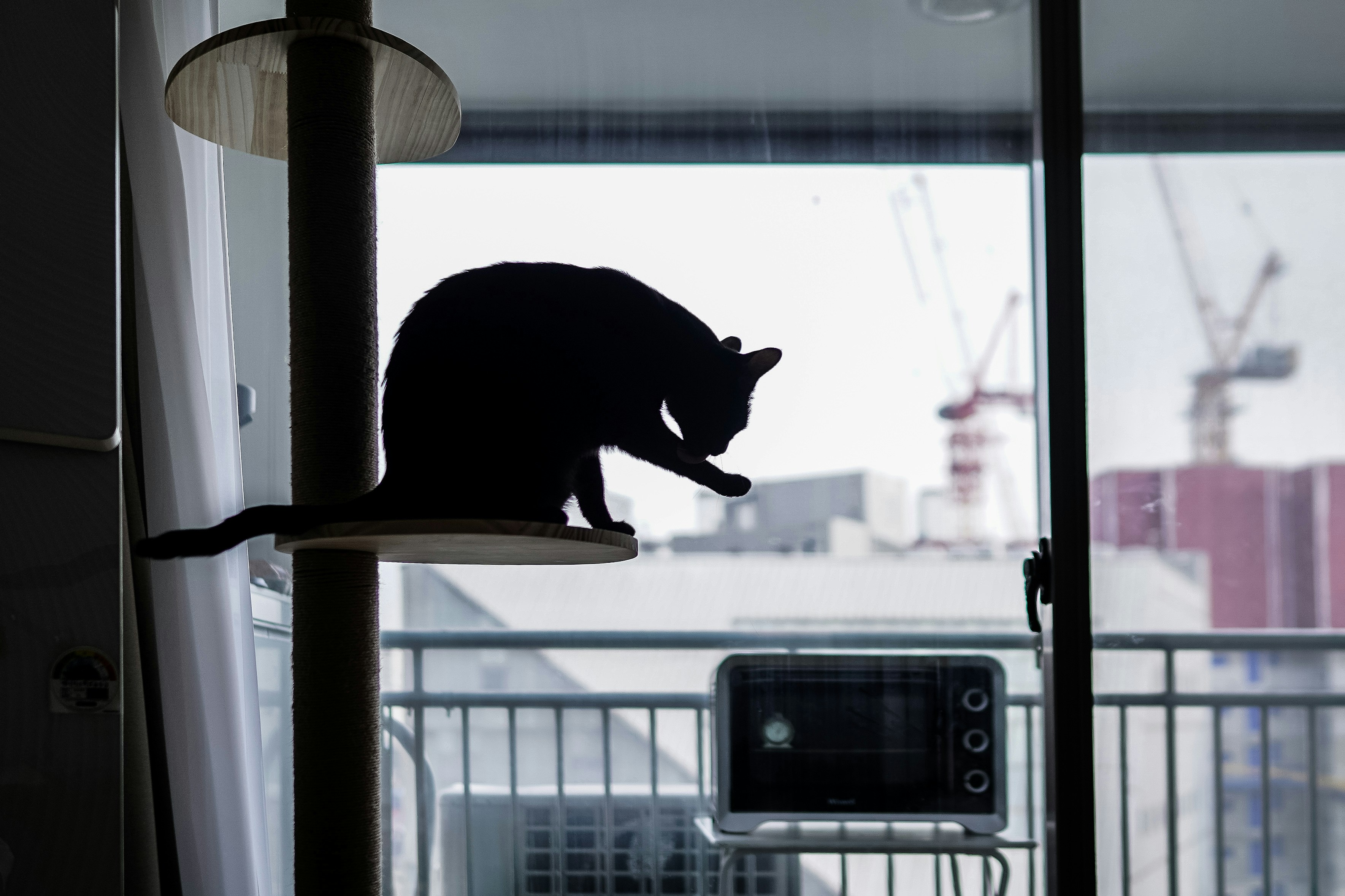 猫キャットタワー省スペース 狭 猫