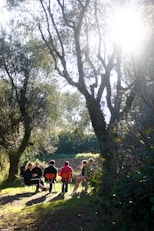 atelier collectif arbre exterieur groupe association aider accompagner