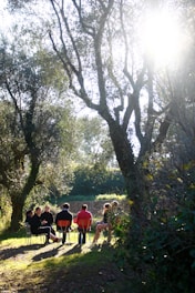 atelier collectif arbre exterieur groupe association aider accompagner