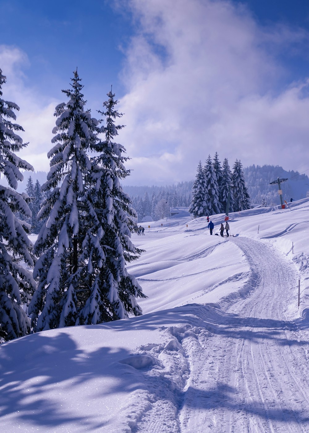 person in red jacket and black pants walking on snow covered ground near green trees during