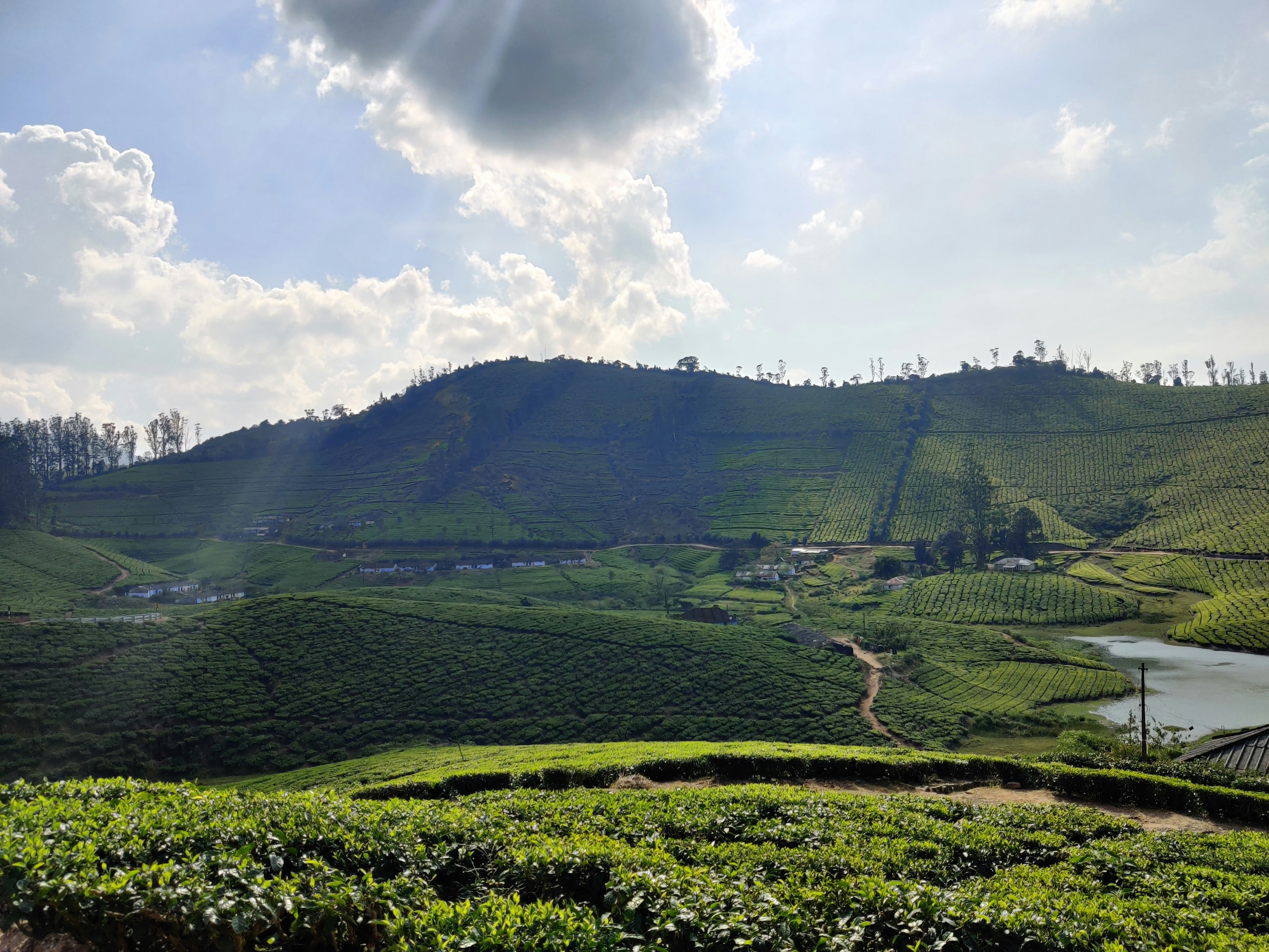 Photo by ramesh_photos