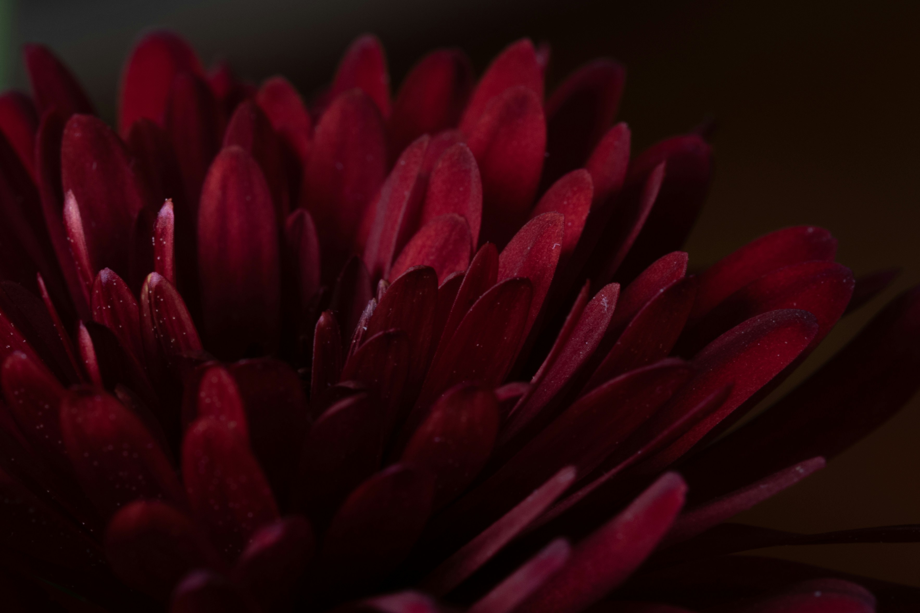 Photo by capturelight