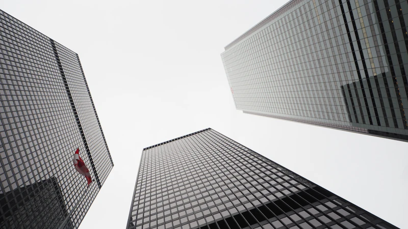 Office towers in downtown Toronto where many newcomers build their careers