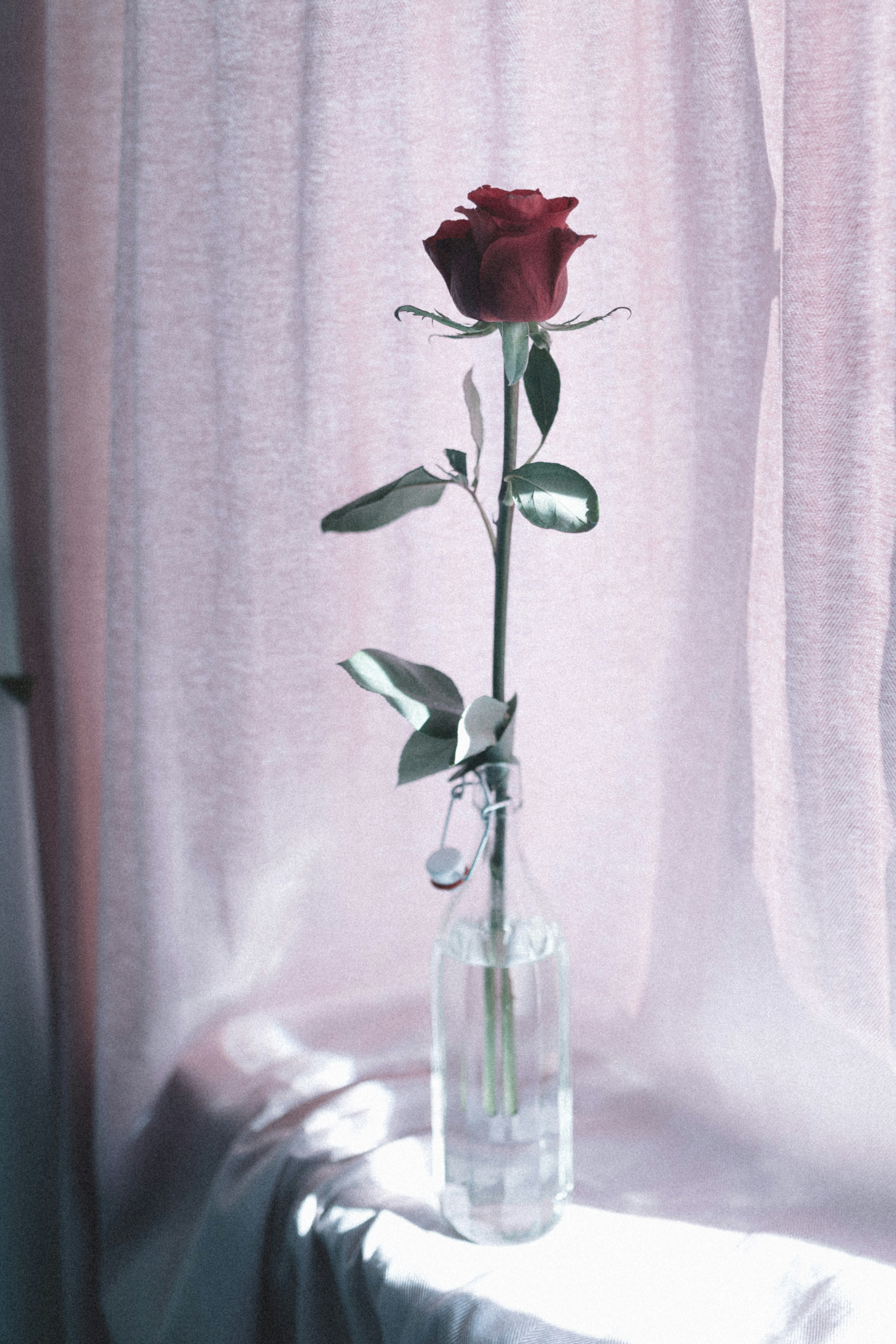 Photo by corina_rainer_