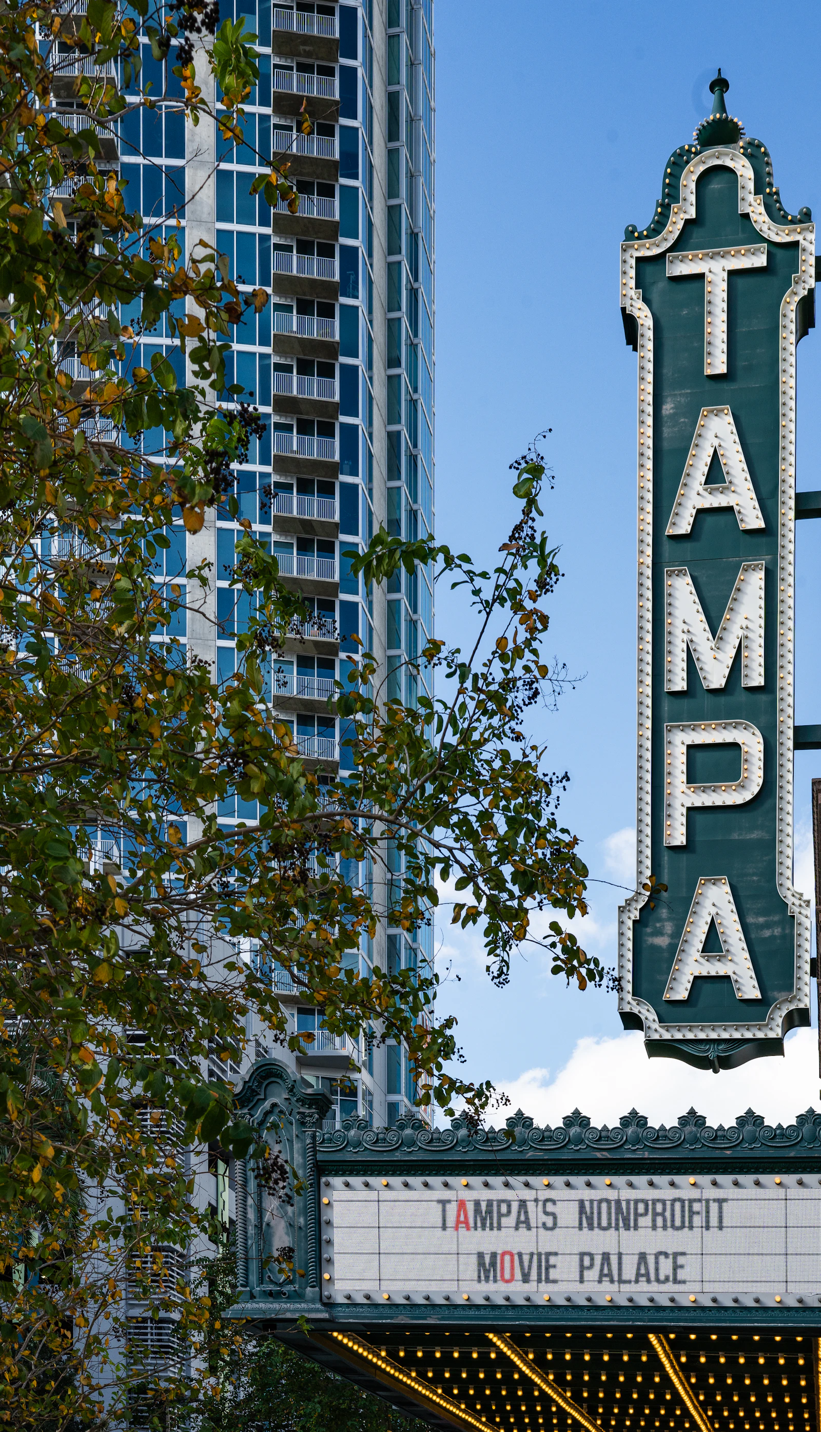 Representative image of the Tampa Heights area — photo 2