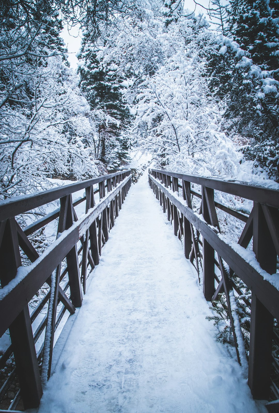 brown wooden bridge covered with snow